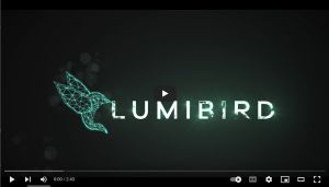 video of Lumibird